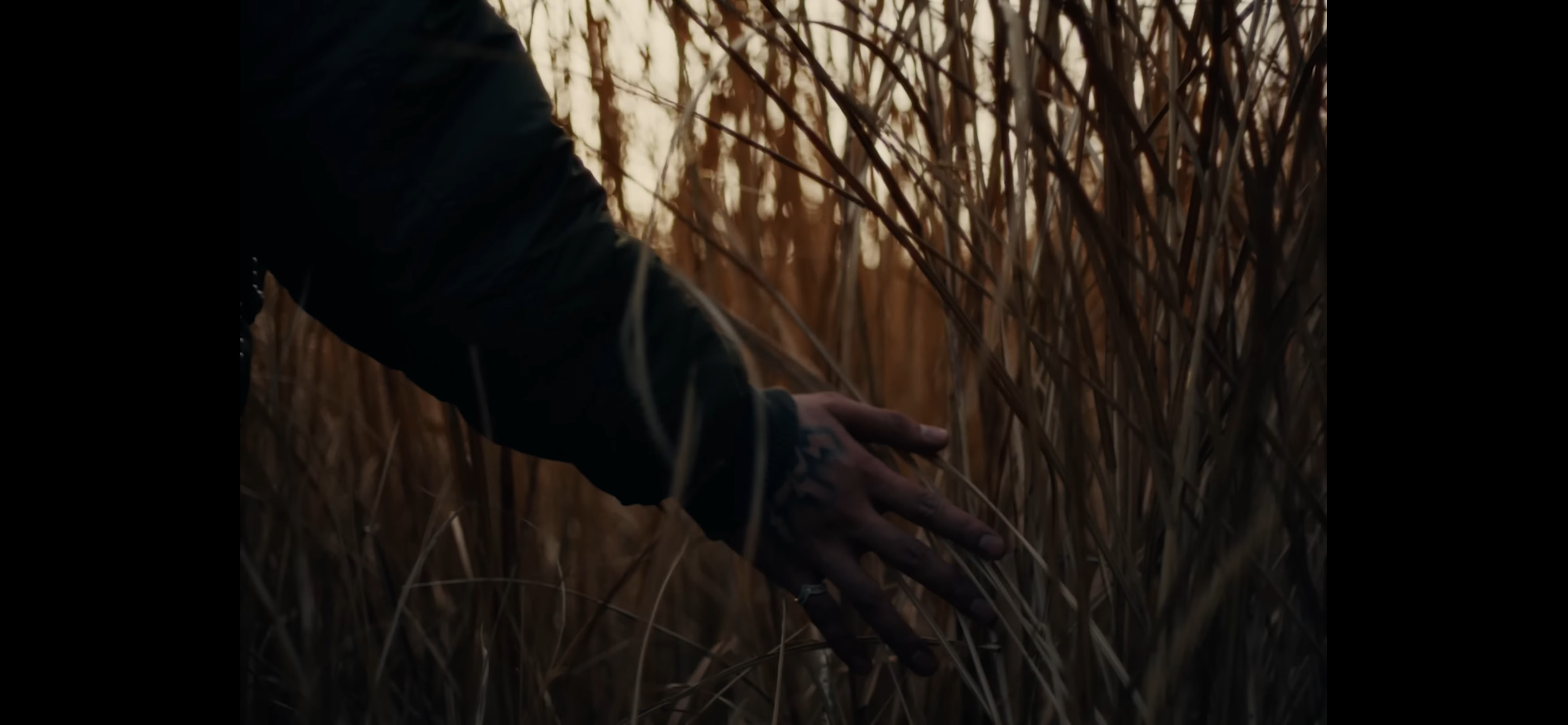 Candee「Vintage」MV