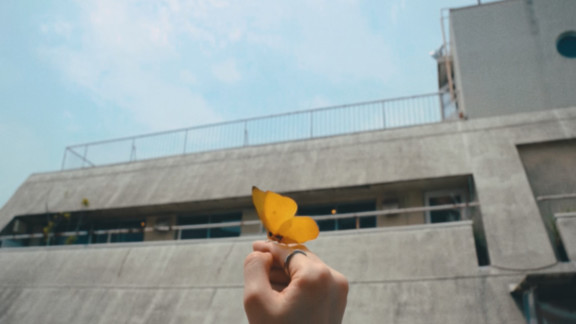 藤原さくら「Angel」MV