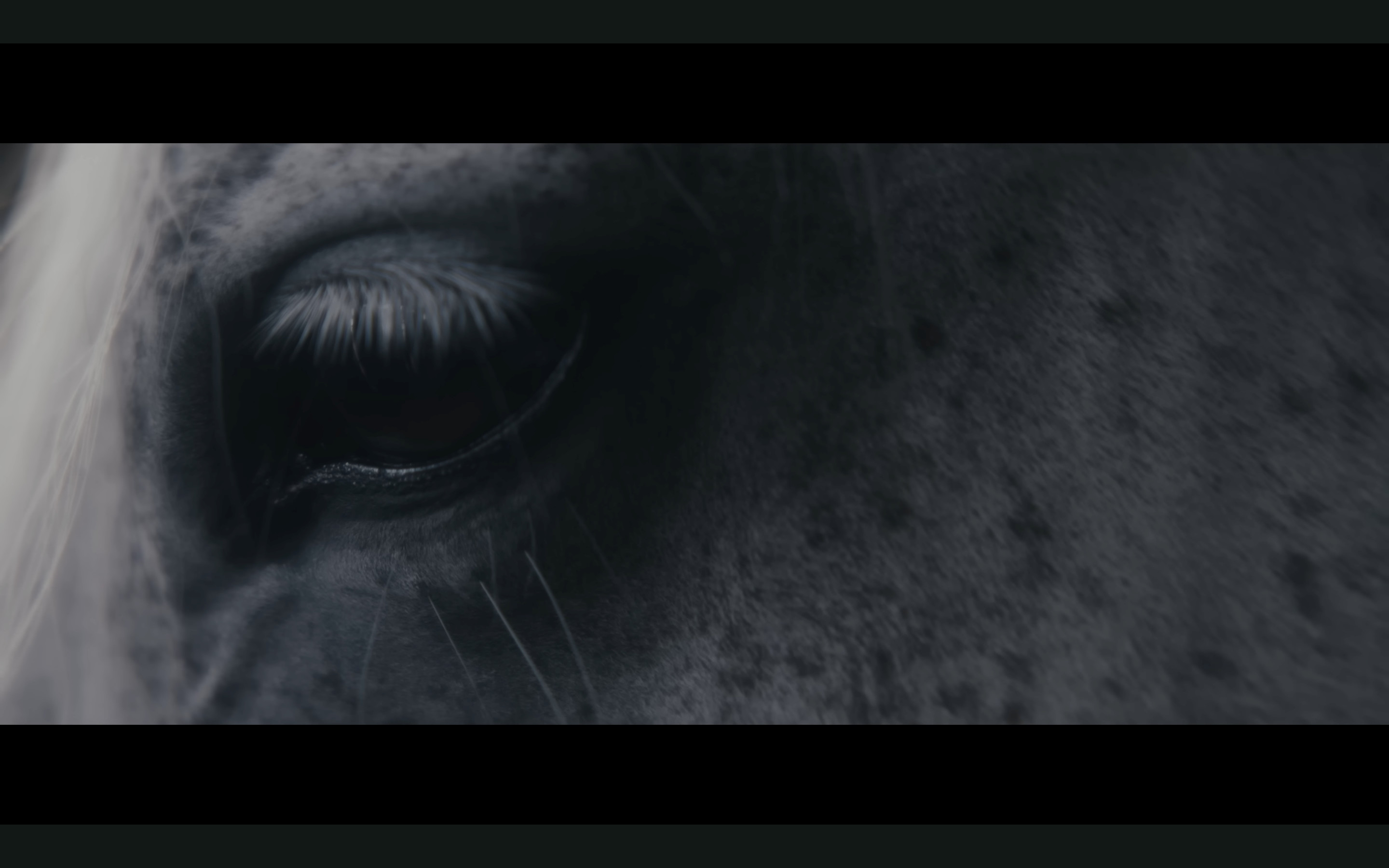 阿部真央「マリア」MV