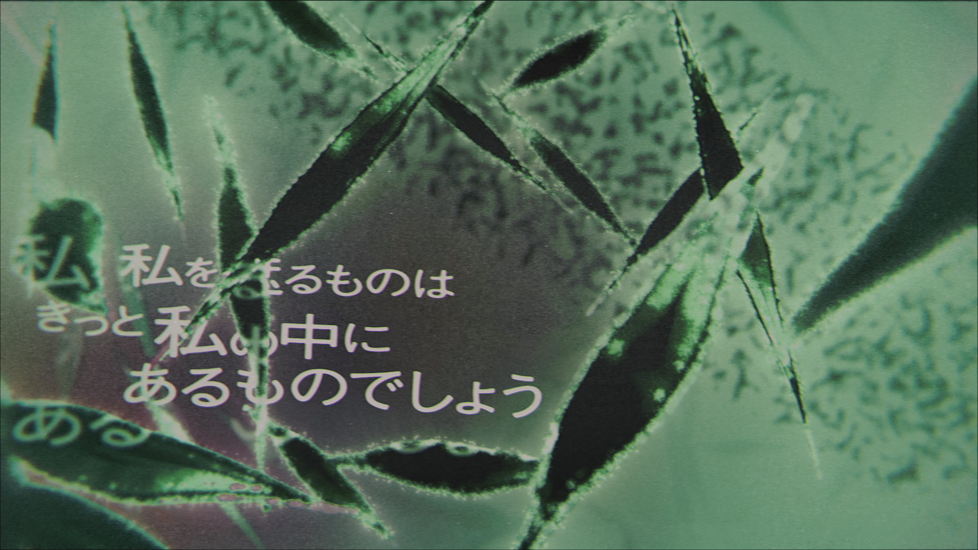 AIESH「ホメオスタシス」（モーショングラフィックス）